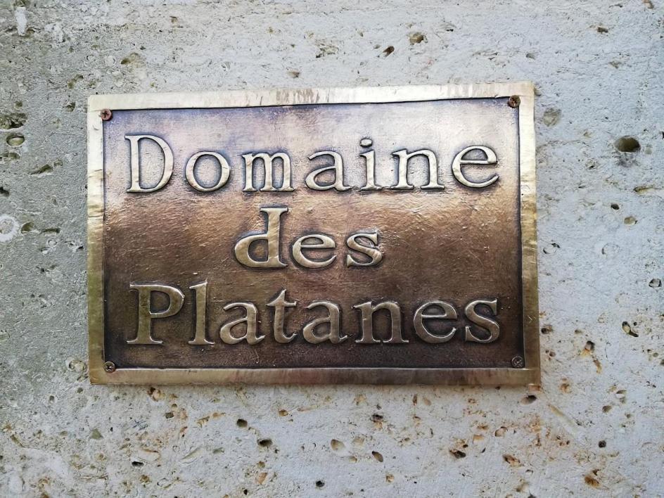 Bourg-CharenteLe Domaine Des Platanes住宿加早餐旅馆 外观 照片