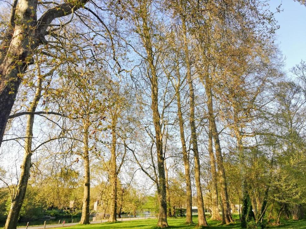 Bourg-CharenteLe Domaine Des Platanes住宿加早餐旅馆 外观 照片