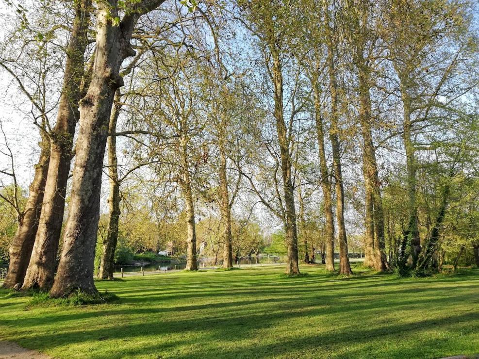 Bourg-CharenteLe Domaine Des Platanes住宿加早餐旅馆 外观 照片