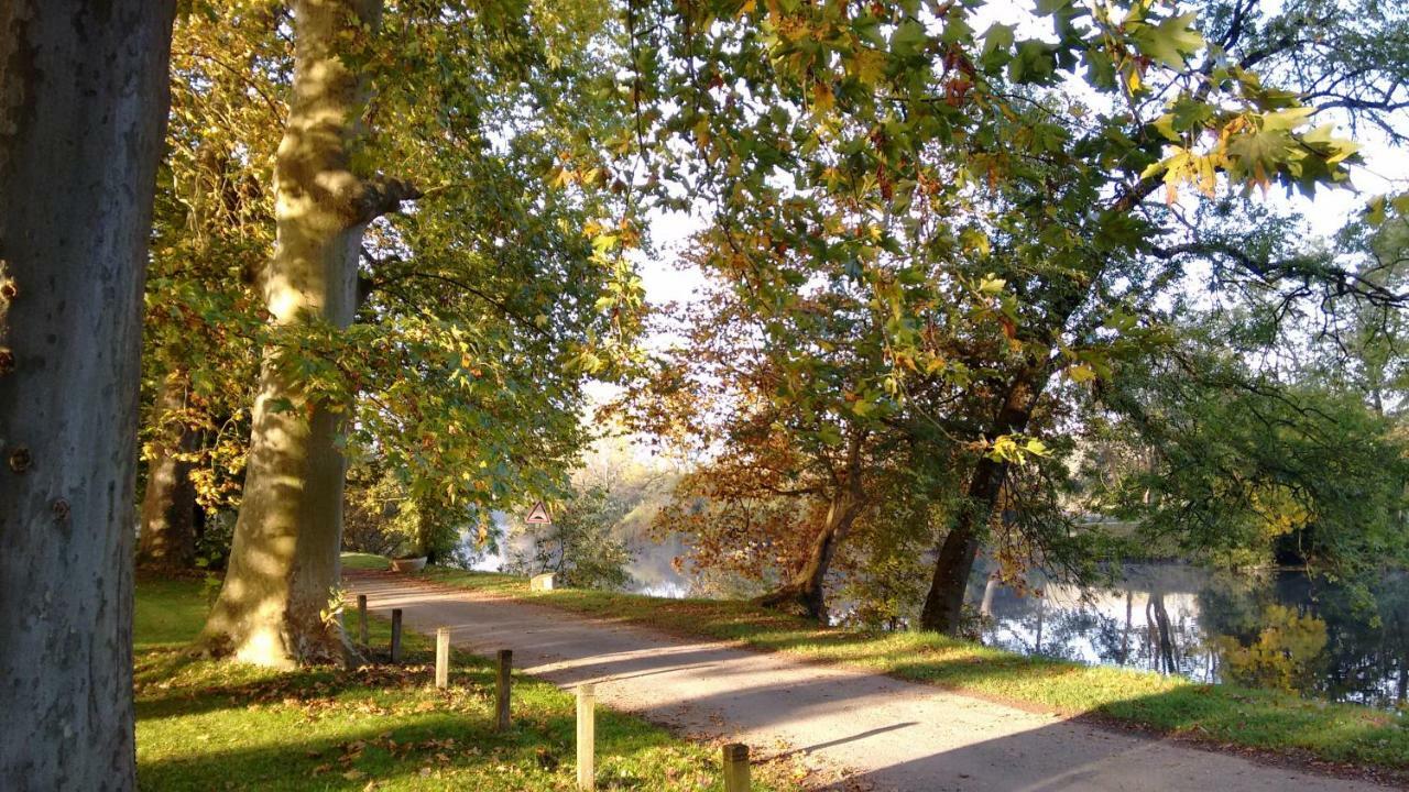 Bourg-CharenteLe Domaine Des Platanes住宿加早餐旅馆 外观 照片