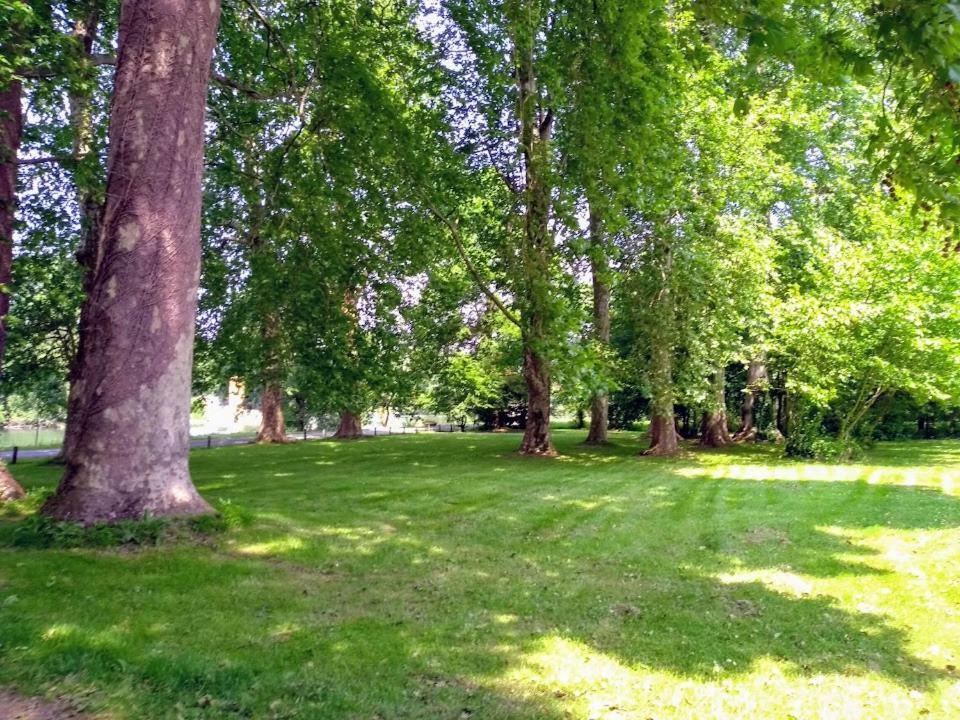 Bourg-CharenteLe Domaine Des Platanes住宿加早餐旅馆 外观 照片